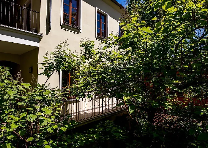Nest Vibe Slovakova
